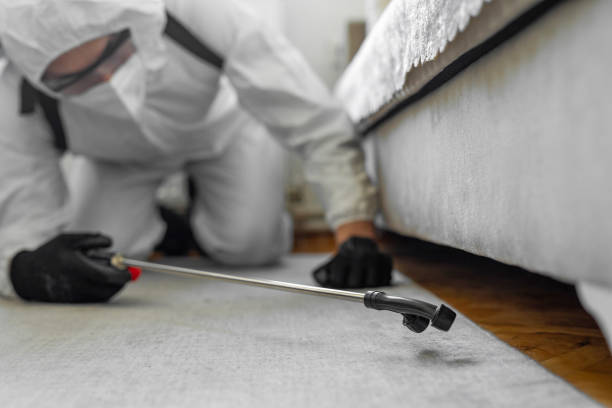 Professional Mosquito Control technician working in Mitchell County County, NC